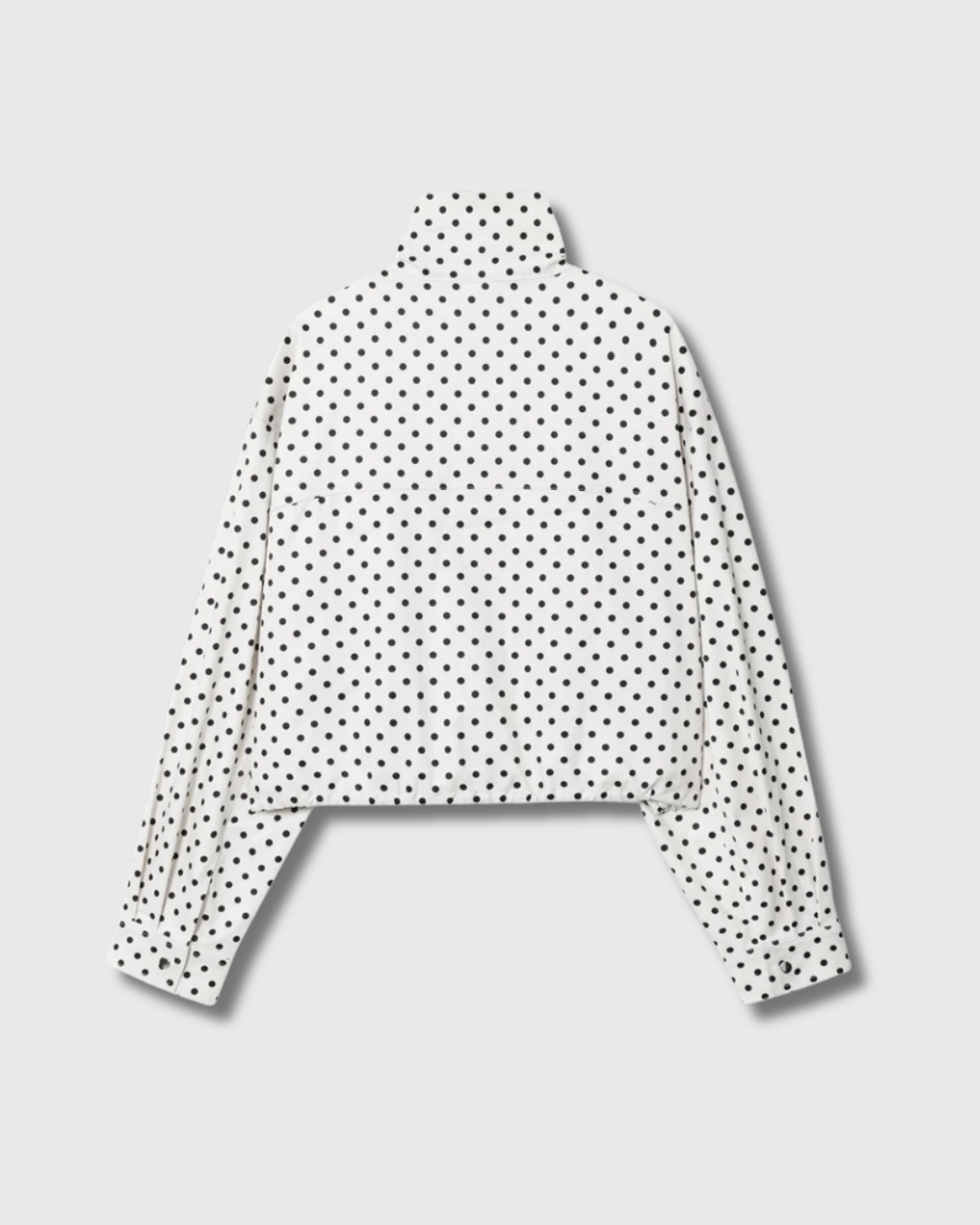 Polka Dot Jacket